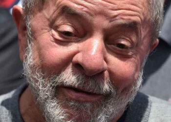 burro ou lula