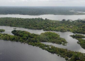 general floresta amazônica