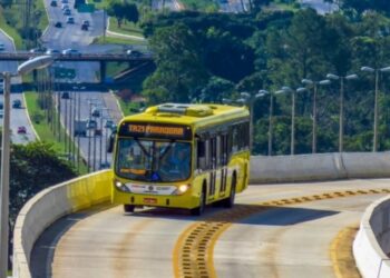 linhas de ônibus