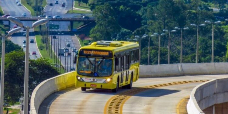 linhas de ônibus