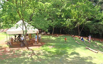 Parque dos Jequitibás reabre com plantio de 100 mudas
