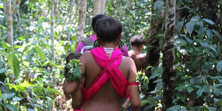 Garimpeiros exigem sexo com meninas e mulheres Yanomami em troca de comida, aponta relatório