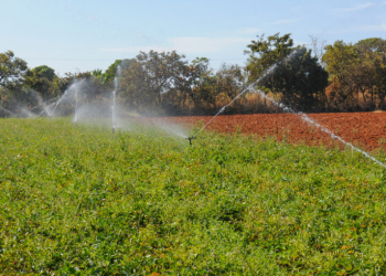 Brasília economiza 50% de água na produção rural