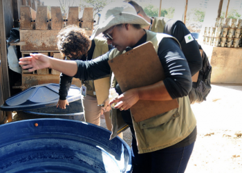 Novo túnel de Taguatinga é nota máxima contra a dengue