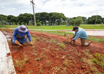 Plantio de grama no Parque Internacional da Paz marca início do paisagismo do Drenar DF