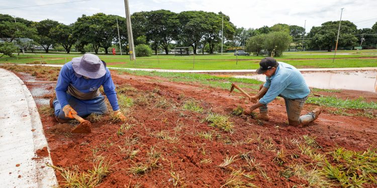Plantio de grama no Parque Internacional da Paz marca início do paisagismo do Drenar DF