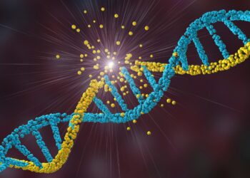 cientistas-identificam-nova-doenca-genetica-rara-que-afeta-os-musculos