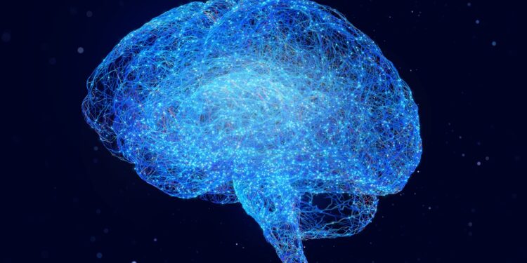 colesterol-tem-papel-decisivo-na-saude-cerebral,-mostram-estudos