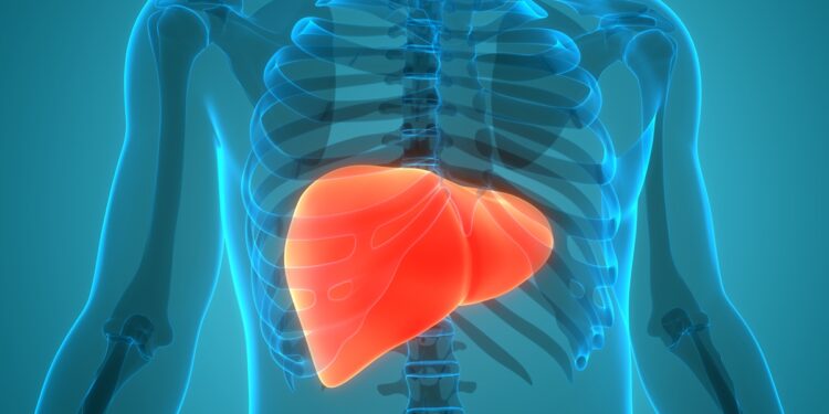 gordura-no-figado:-saiba-sinais-que-exigem-atencao-e-como-se-prevenir