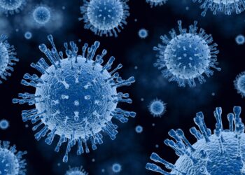 h5n5:-variante-da-gripe-aviaria-e-registrada-em-humano-pela-1a-vez