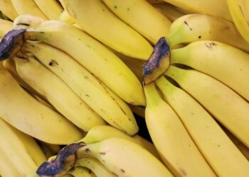 banana-todo-dia!-amido-presente-na-fruta-pode-diminuir-risco-de-doenca