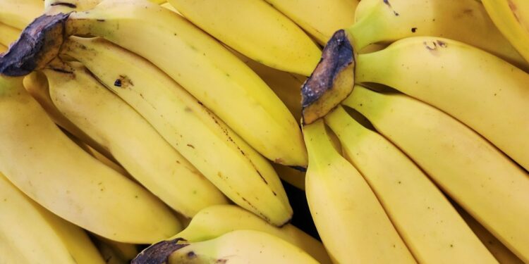 banana-todo-dia!-amido-presente-na-fruta-pode-diminuir-risco-de-doenca