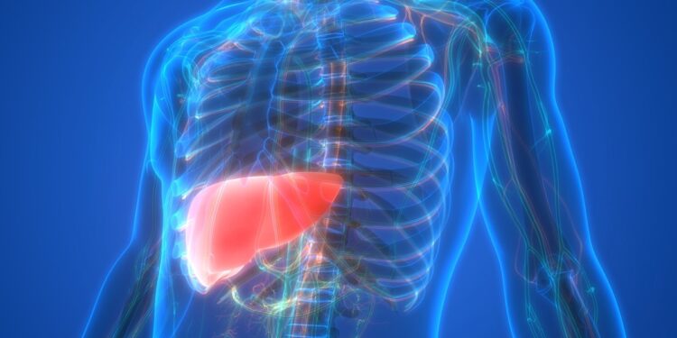 gordura-no-figado:-como-e-feito-o-diagnostico-de-esteatose-hepatica