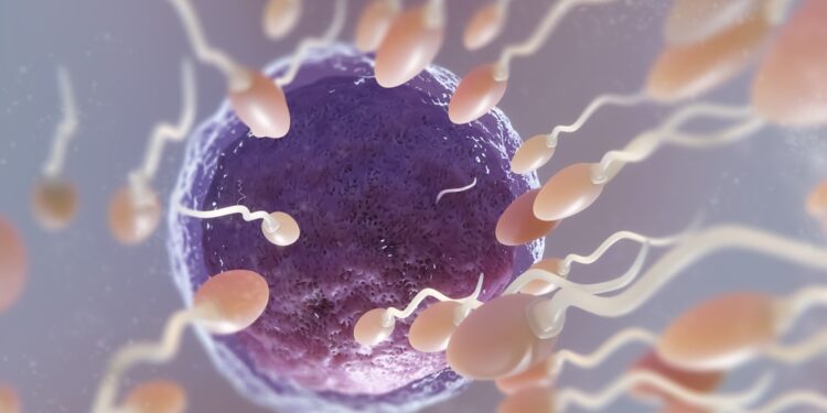 urologista-aponta-quais-habitos-prejudicam-a-qualidade-dos-espermas