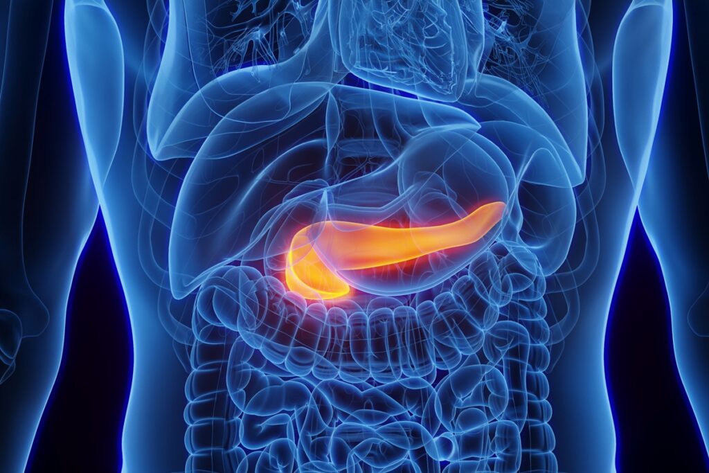 gastroenterologista-lista-quais-sao-os-sintomas-de-pancreas-inflamado