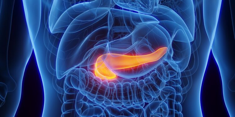 gastroenterologista-lista-quais-sao-os-sintomas-de-pancreas-inflamado