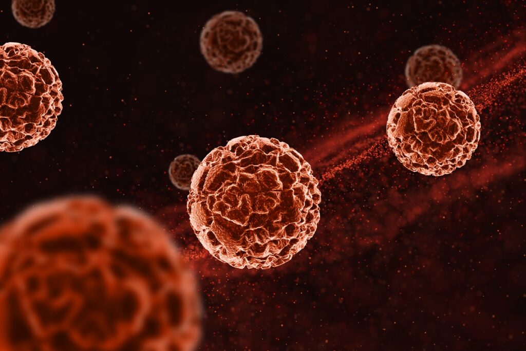 estudo-mostra-que-reservas-de-gordura-podem-ajudar-a-combater-virus
