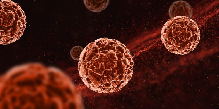 estudo-mostra-que-reservas-de-gordura-podem-ajudar-a-combater-virus