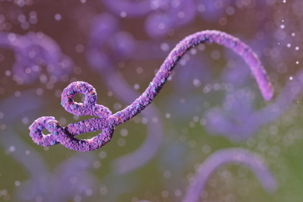 dados-mostram-que-surto-de-ebola-no-congo-ja-e-o-2o-maior-da-historia