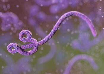 dados-mostram-que-surto-de-ebola-no-congo-ja-e-o-2o-maior-da-historia