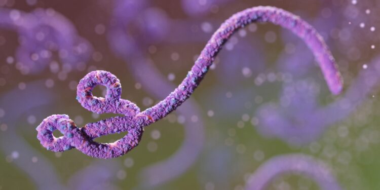 dados-mostram-que-surto-de-ebola-no-congo-ja-e-o-2o-maior-da-historia