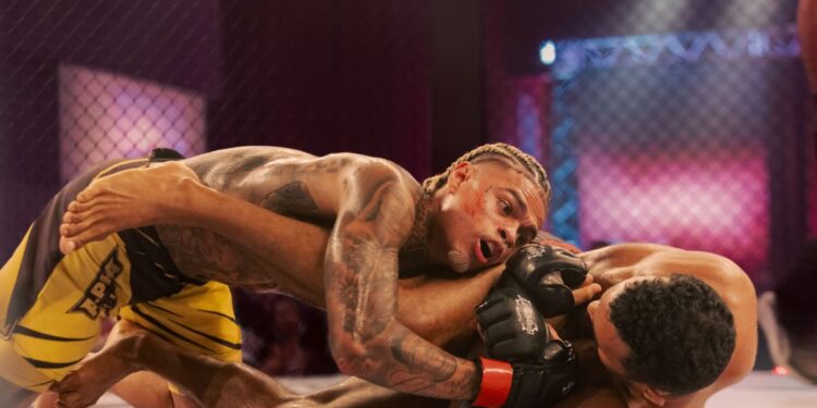 furia:-nova-serie-da-netflix-sobre-mma-e-inspirada-em-historia-real?