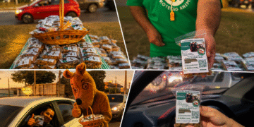 daniel-donizet-leva-racao-do-bem-a-ceilandia-e-mobiliza-populacao-em-favor-dos-animais-de-rua