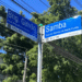 rua-do-samba-e-marco-da-cultura-negra-em-sao-paulo.-conheca-a-historia
