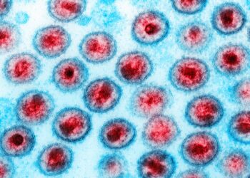terapia-em-recem-nascidos-elimina-hiv-em-testes-com-primatas