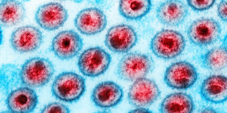 terapia-em-recem-nascidos-elimina-hiv-em-testes-com-primatas