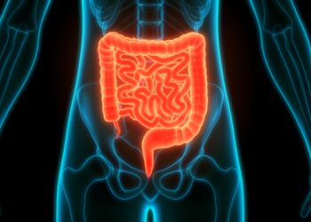 sus-passa-a-oferecer-teste-de-fezes-para-rastrear-cancer-de-intestino
