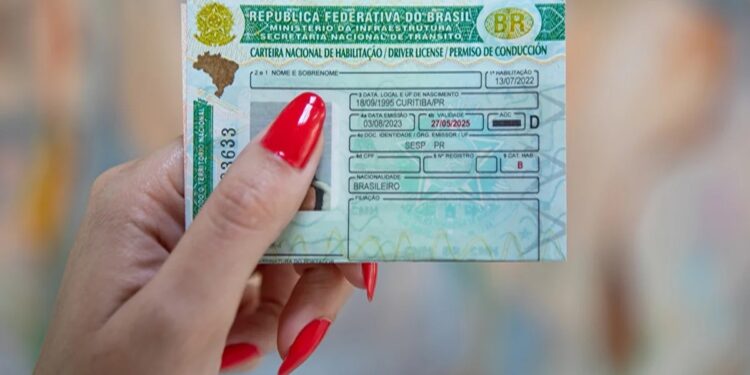camara-aprova-suspensao-e-ate-cassacao-da-cnh-por-abandono-de-animais