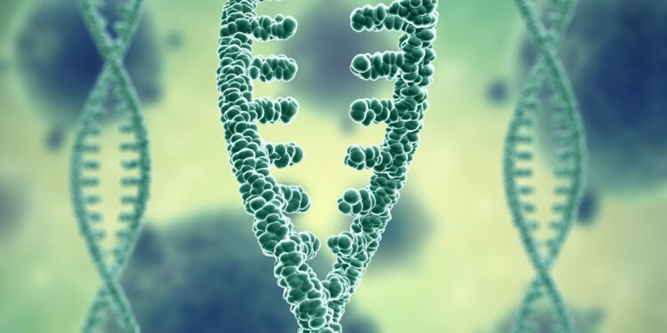 variante-genetica-rara-e-ligada-a-menos-gordura-e-metabolismo-saudavel