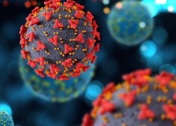 revista-despublica-estudo-sobre-covid-citado-por-grupos-antivacina