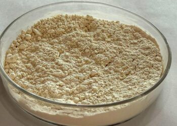 pesquisa-brasileira-transforma-graos-quebrados-de-feijao-em-proteina