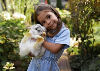 afeto,-companhia-e-conforto:-como-pets-ajudam-no-bem-estar-emocional