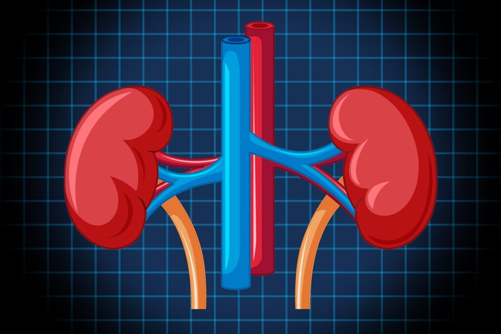 remedios-para-pressao-podem-elevar-em-33%-o-risco-renal-em-diabeticos