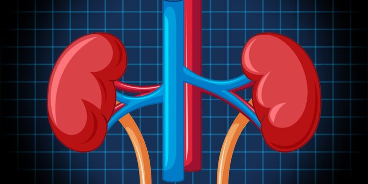 remedios-para-pressao-podem-elevar-em-33%-o-risco-renal-em-diabeticos