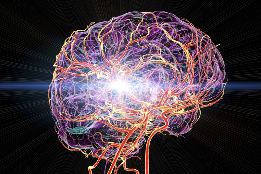 atividade-eletrica-no-cerebro-pode-manter-pensamentos-organizados