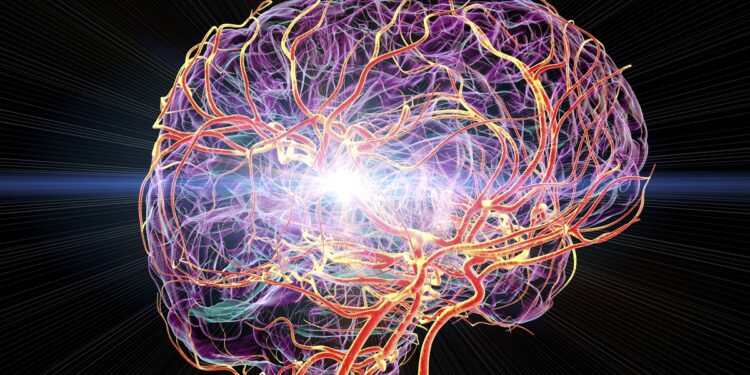 atividade-eletrica-no-cerebro-pode-manter-pensamentos-organizados