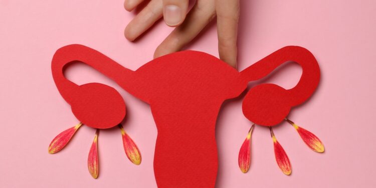 estudo-da-usp-testa-reposicao-hormonal-direcionada-durante-a-menopausa