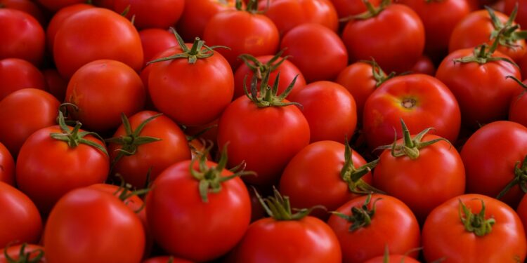 fitoeno:-composto-presente-em-tomates-pode-prevenir-gordura-no-figado