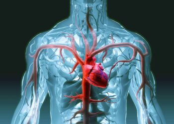 nova-classificacao-do-infarto-busca-facilitar-diagnostico-e-tratamento