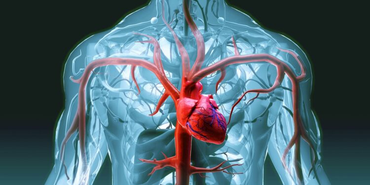 nova-classificacao-do-infarto-busca-facilitar-diagnostico-e-tratamento