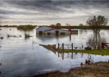 el-nino-intensifica-chuvas-e-eleva-risco-de-doencas-apos-enchentes