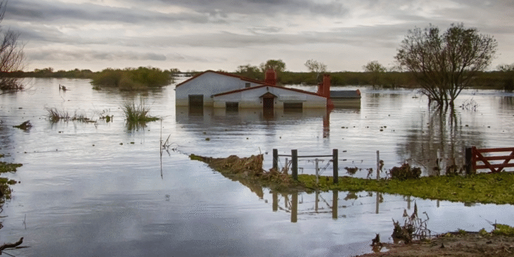 el-nino-intensifica-chuvas-e-eleva-risco-de-doencas-apos-enchentes