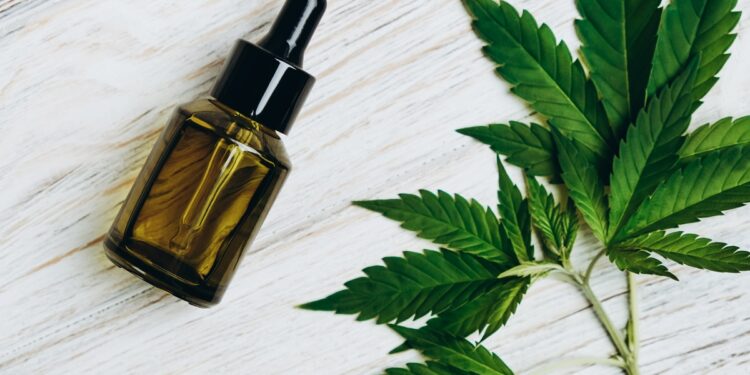 thc-da-cannabis-pode-ajudar-a-diminuir-celulas-agressivas-de-cancer-de-mama