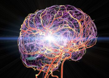 medula-ossea-do-cranio-pode-estar-ligada-a-dor-cronica,-aponta-estudo