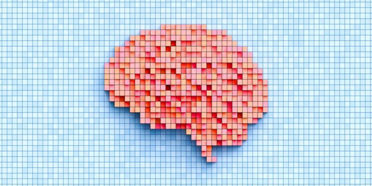 inflamacao-na-gravidez-pode-alterar-formacao-do-cerebro-fetal,-diz-estudo