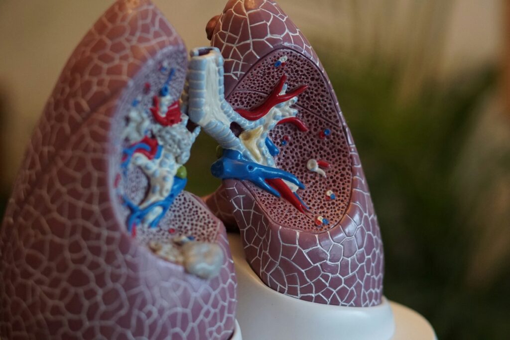 microplasticos-sao-mais-frequentes-em-pulmoes-de-pacientes-com-cancer